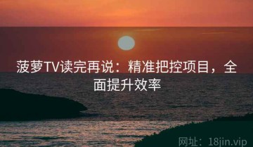 菠萝TV读完再说：精准把控项目，全面提升效率