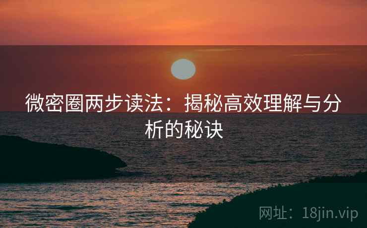微密圈两步读法：揭秘高效理解与分析的秘诀