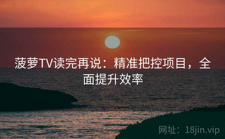 菠萝TV读完再说：精准把控项目，全面提升效率